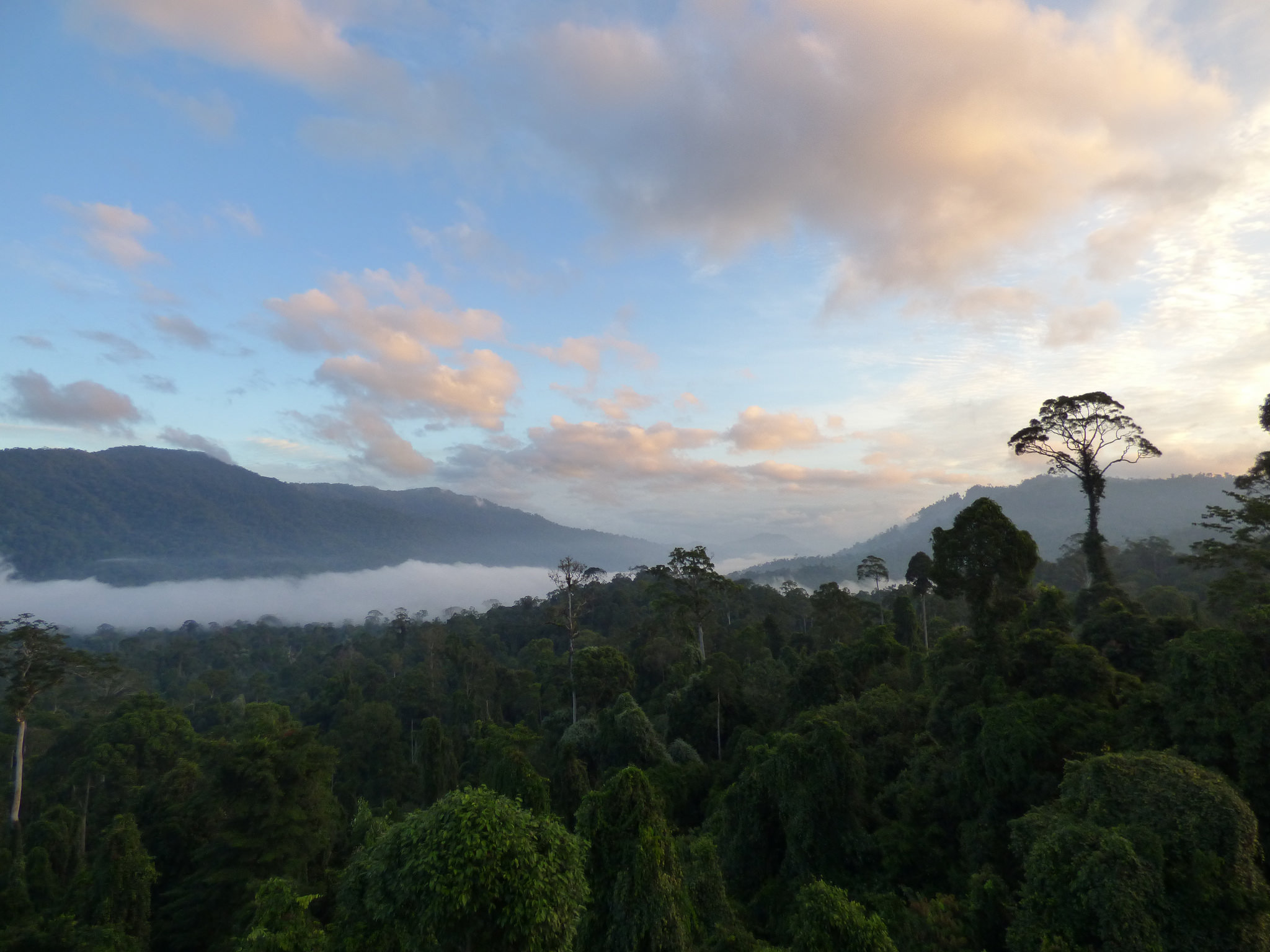 Maliau Basin Sabah