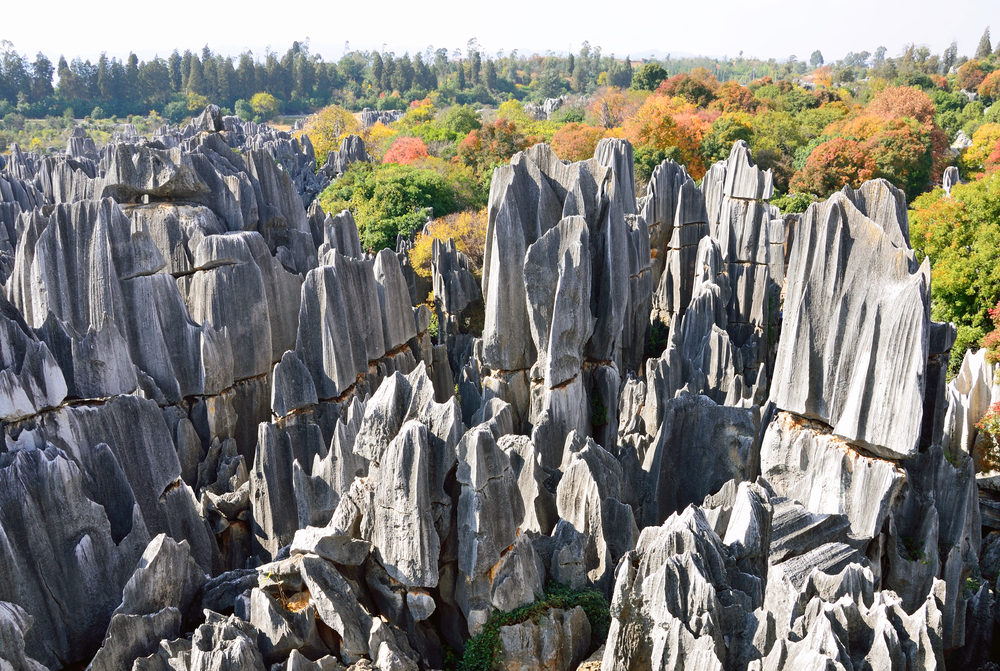 Stone Forest, China