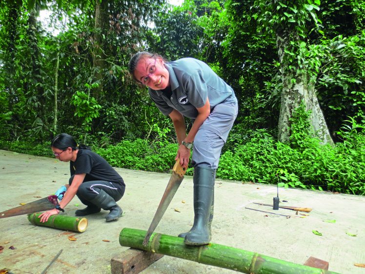 Jenny sawing bamboo for enrichment activity