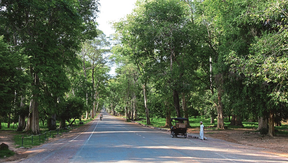 Angkor Archaeological Park