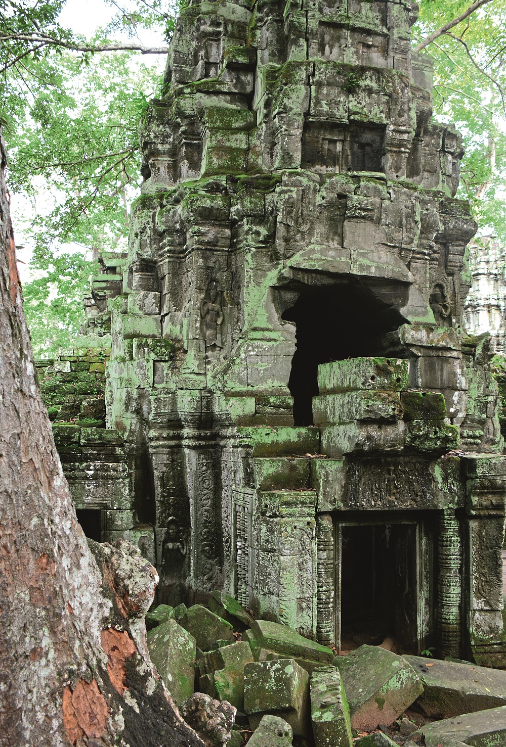 ta-prohm-cambodia-1