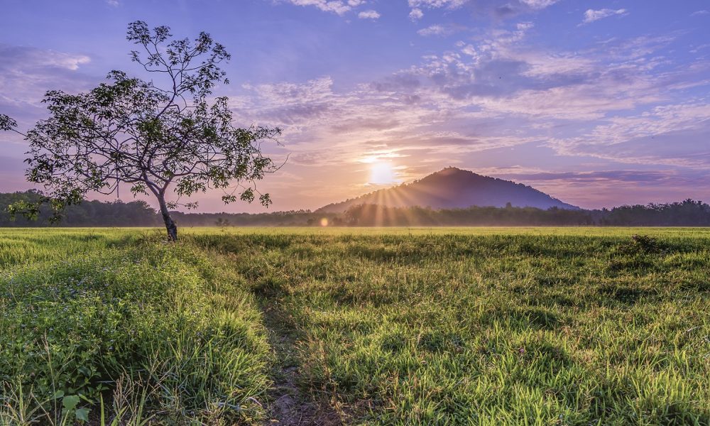 ExpatGo Destination Guide Kelantan ExpatGo