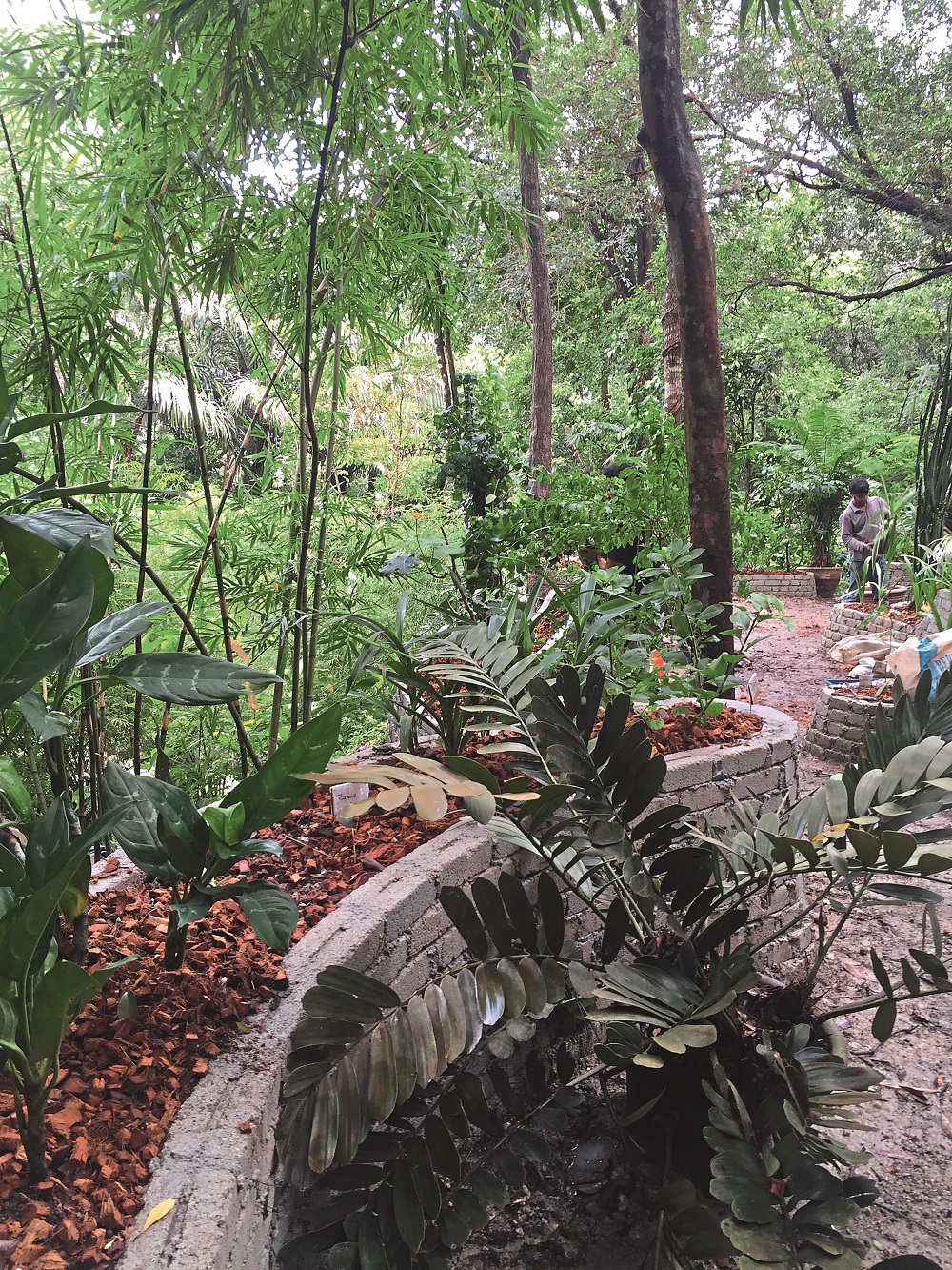 the-garden-under-construction