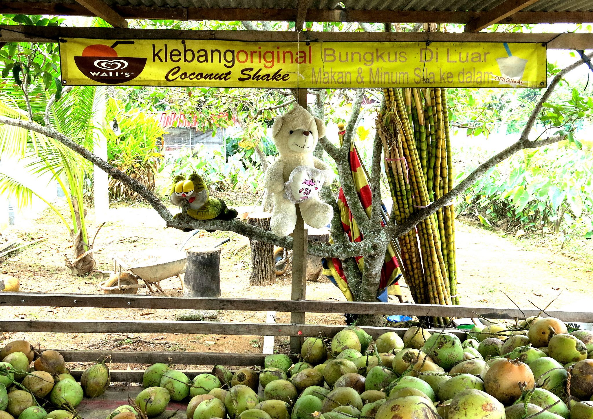 klebang-coconut-shake-melaka