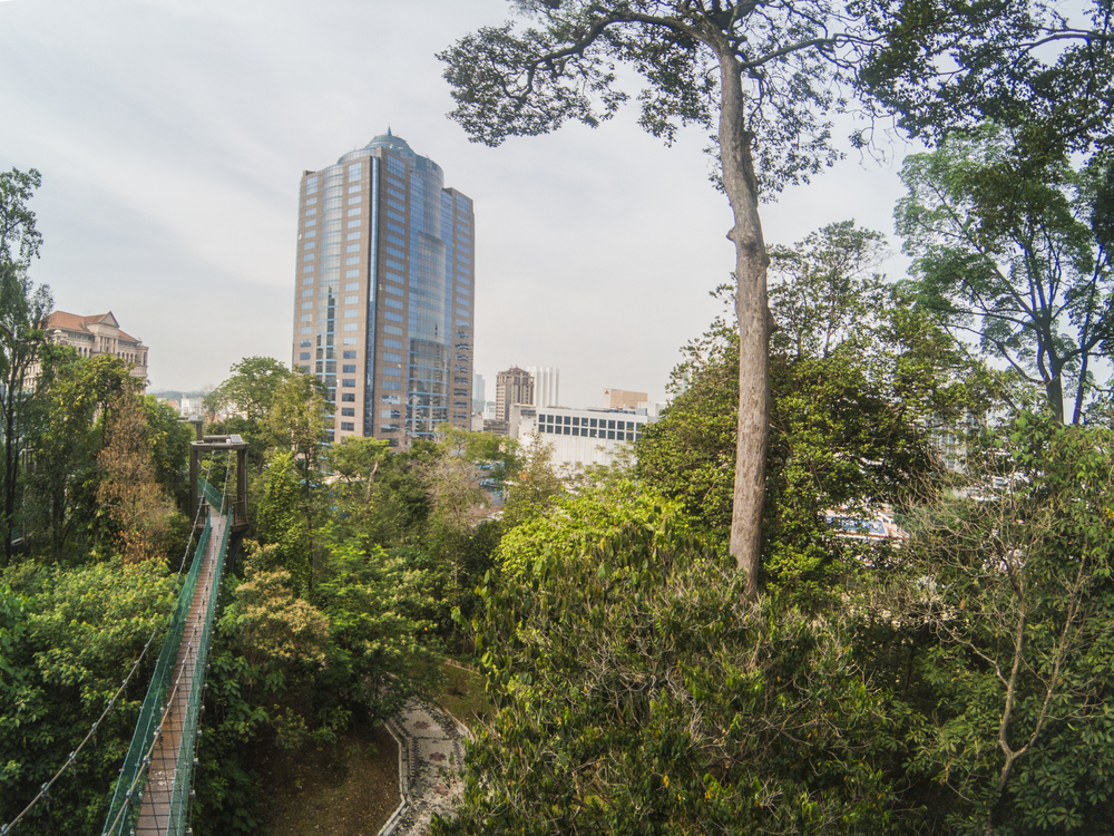 bukit-nanas-forest-reserve-kl