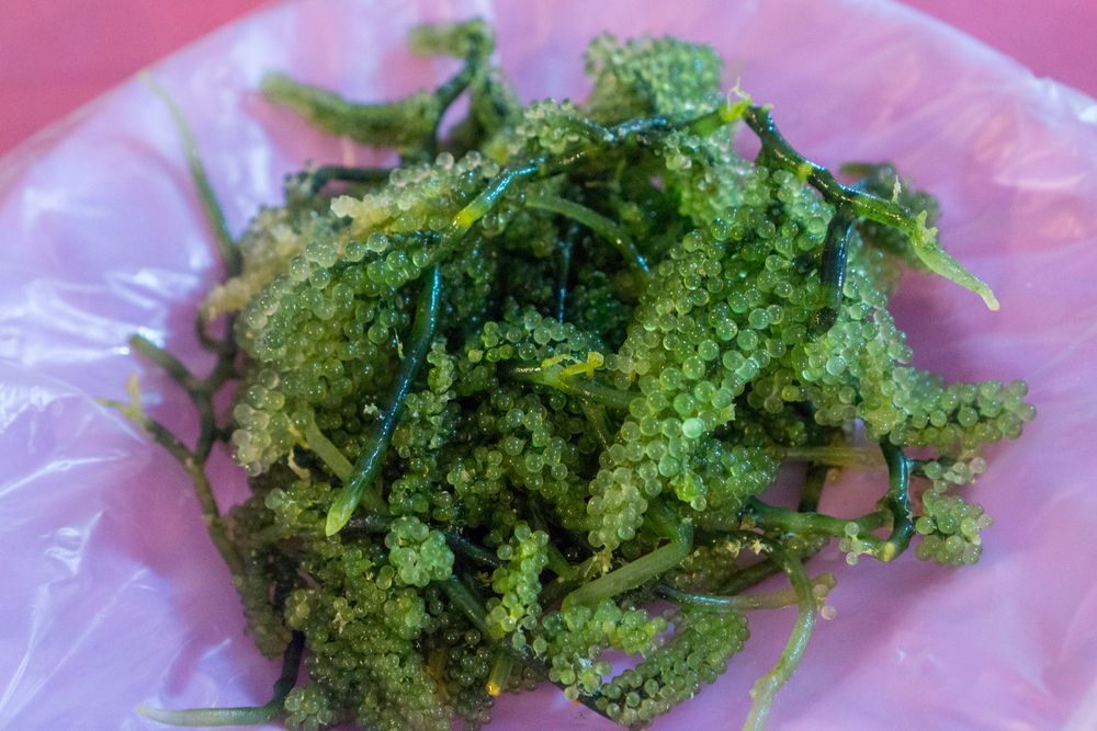 14 weird and wonderful delicacies of Sabah and Sarawak 