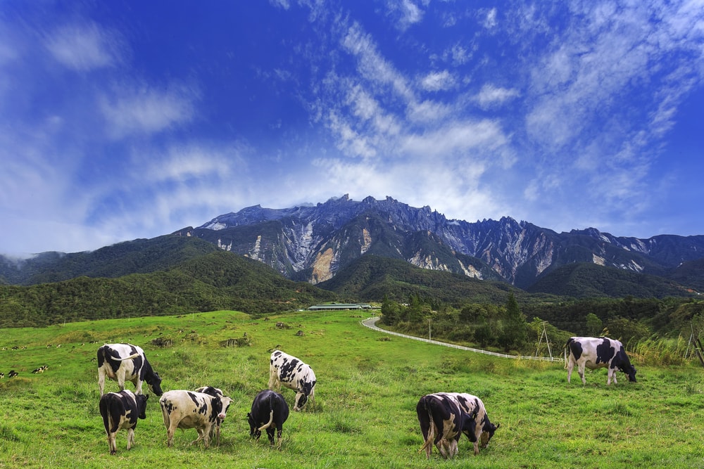 10 of Malaysias Most Instagrammable Places ExpatGo 10 of Malaysias Most Instagrammable Places ExpatGo