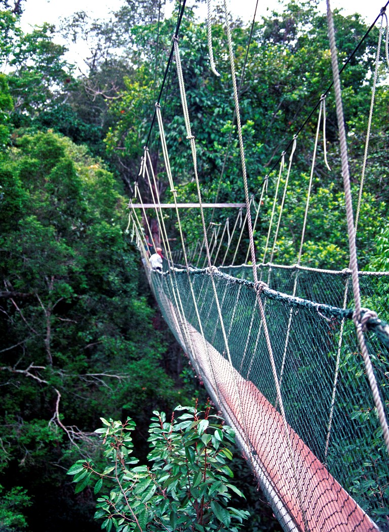 Canopy walk, Taman Negara