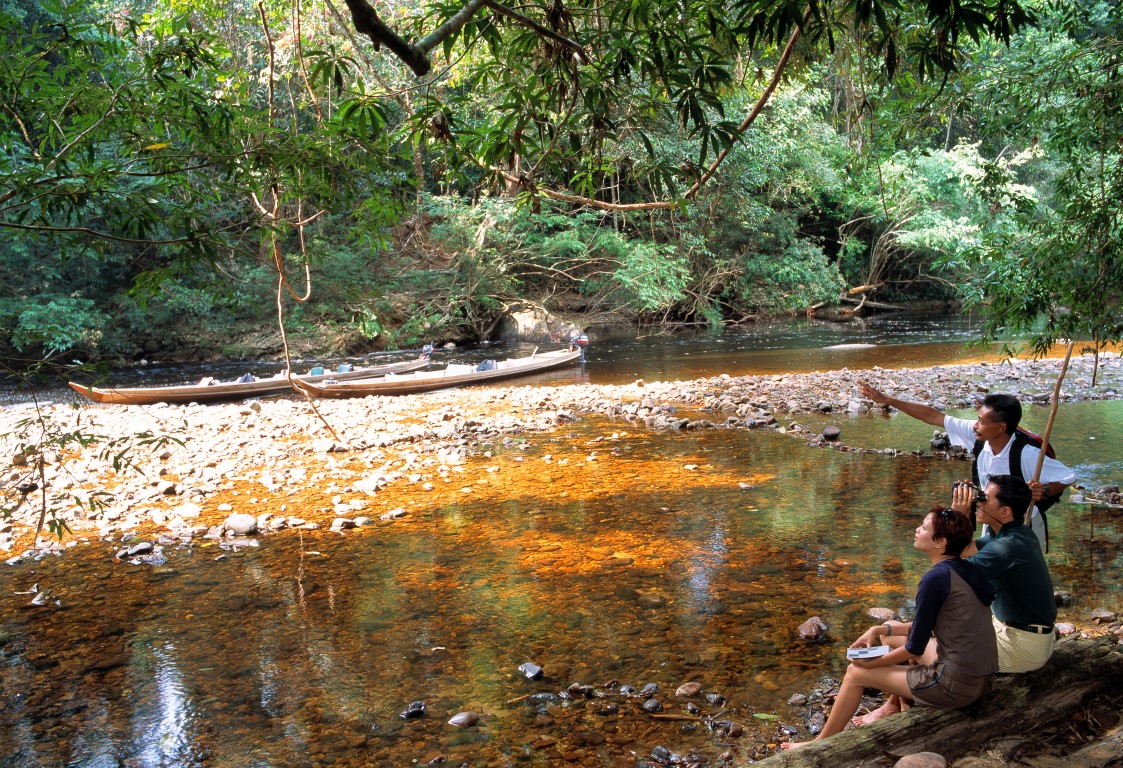 By the Tahan River, Taman Negara