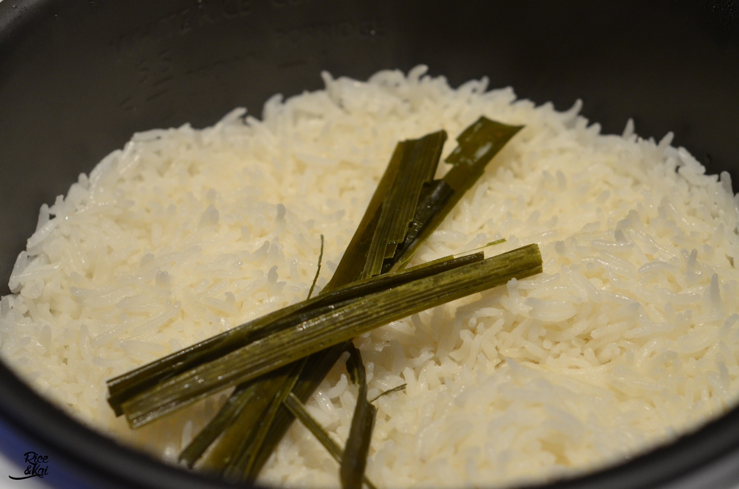 Pandan Pantry 10 Foods to Get You into the Pandan Trend ExpatGo