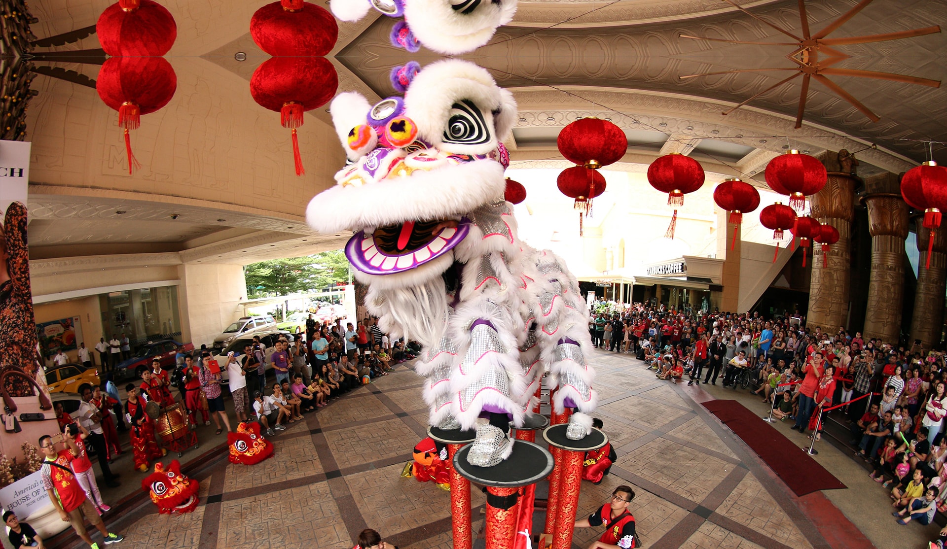 essay about lion dance