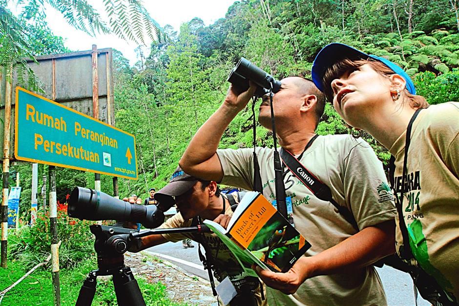 Taman Negara Bird Count