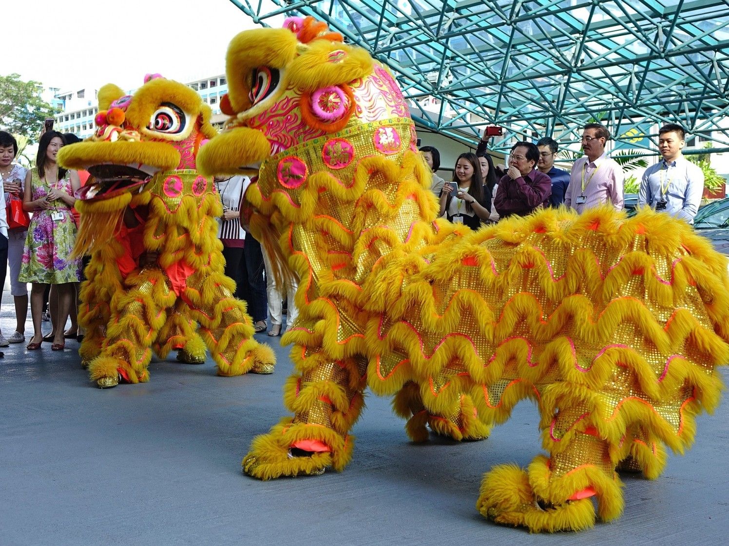 essay about lion dance