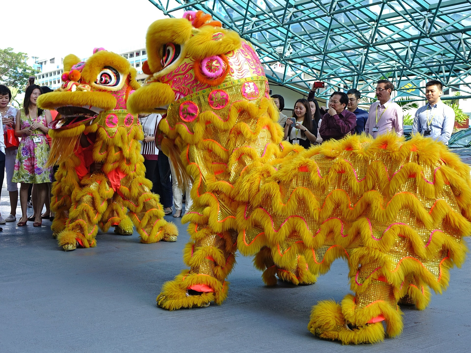 essay about lion dance