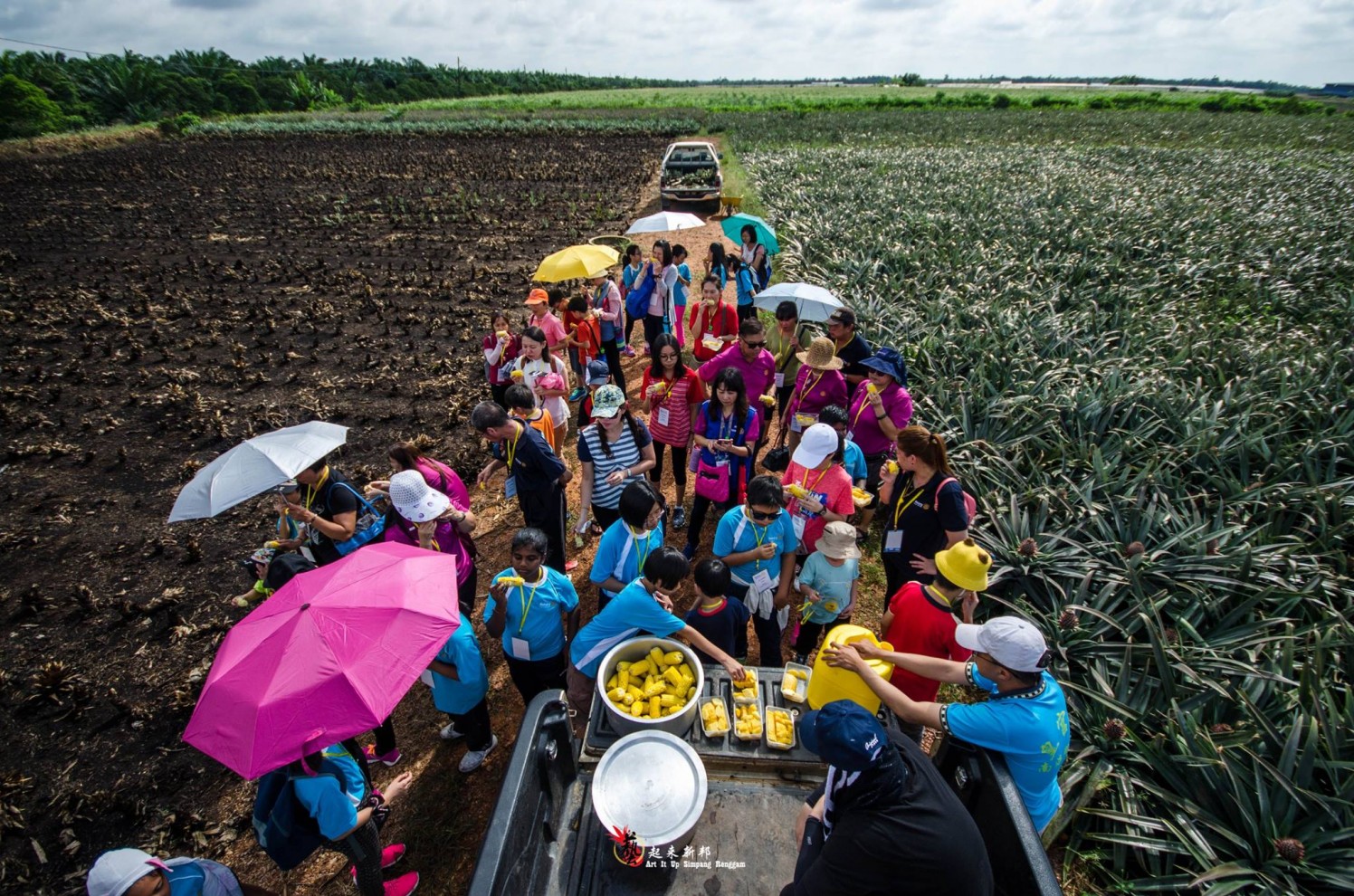 Simpang Renggam Paradise on the Sea of Pineapples ExpatGo