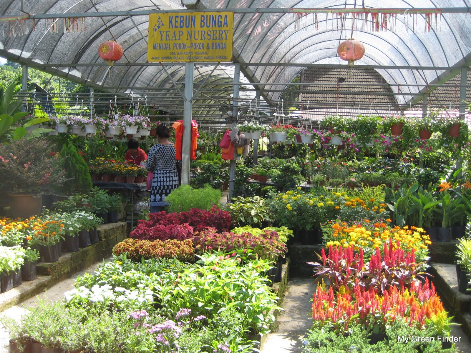 Gardening Titbits: Nurseries in Klang Valley - ExpatGo