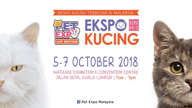 October 2018 Events: Concerts, Festivals, and Art - ExpatGo