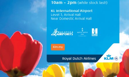 klm tulip sale