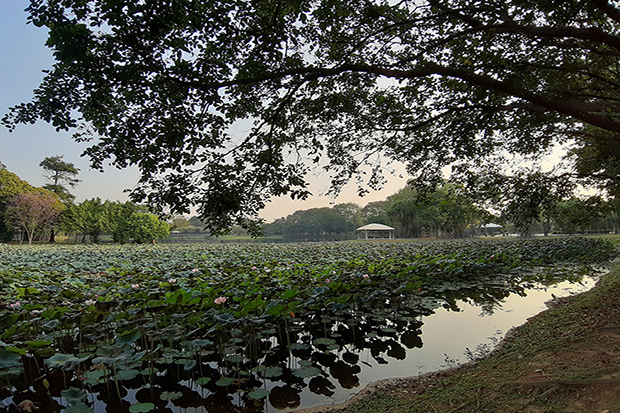 A Day In Cyberjaya Expatgo