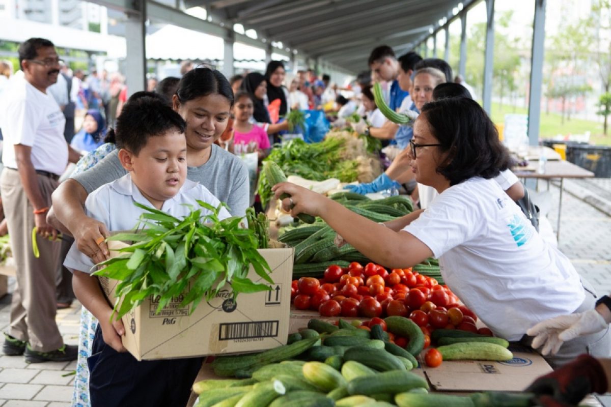 lost food project