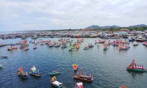 regatta lepa boats