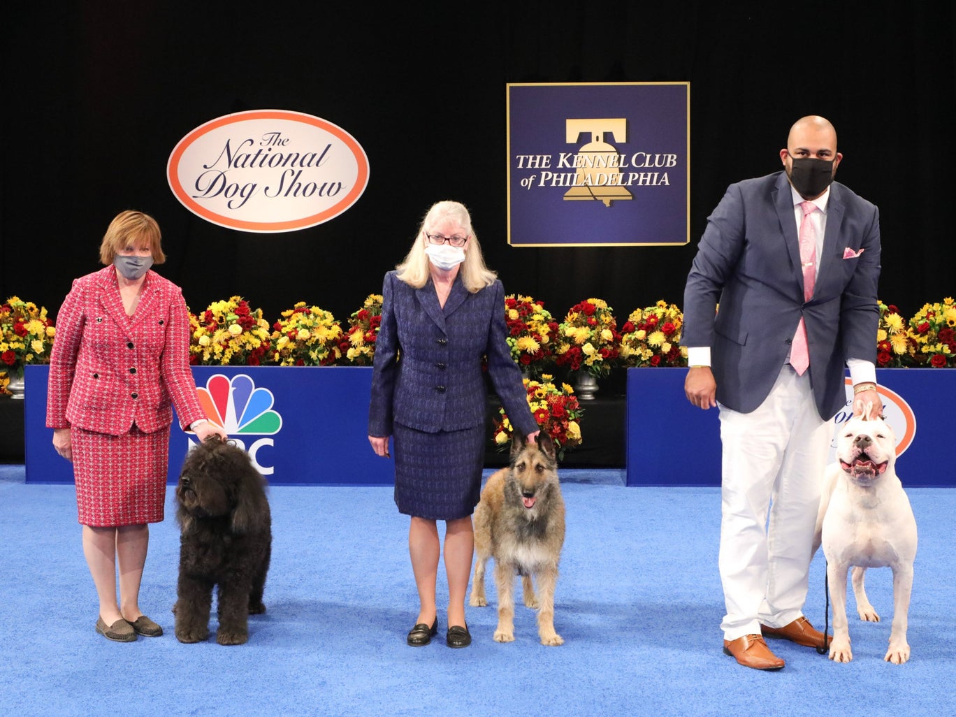 The National Dog Show 2020 Check Out This Year's Parading Floofs ExpatGo