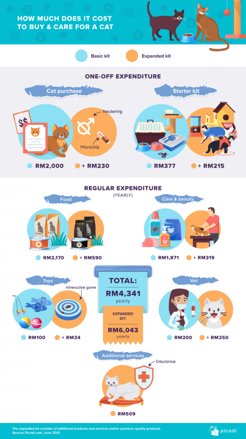 pet cat care finance infographic