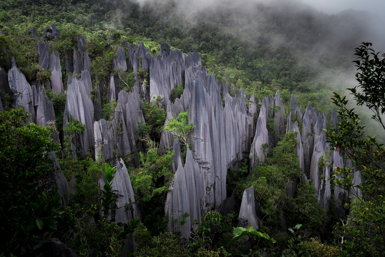 mulu pinnacles travel