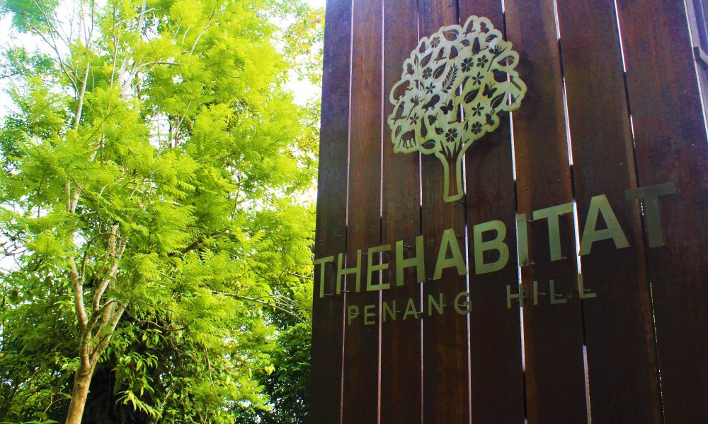 The Habitat: Discover Forest Bathing in an Aboriginal Rainforest ExpatGo