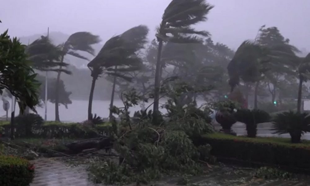 Typhoon Kajiki Leaves Trail of Destruction and Flooding in Vietnam