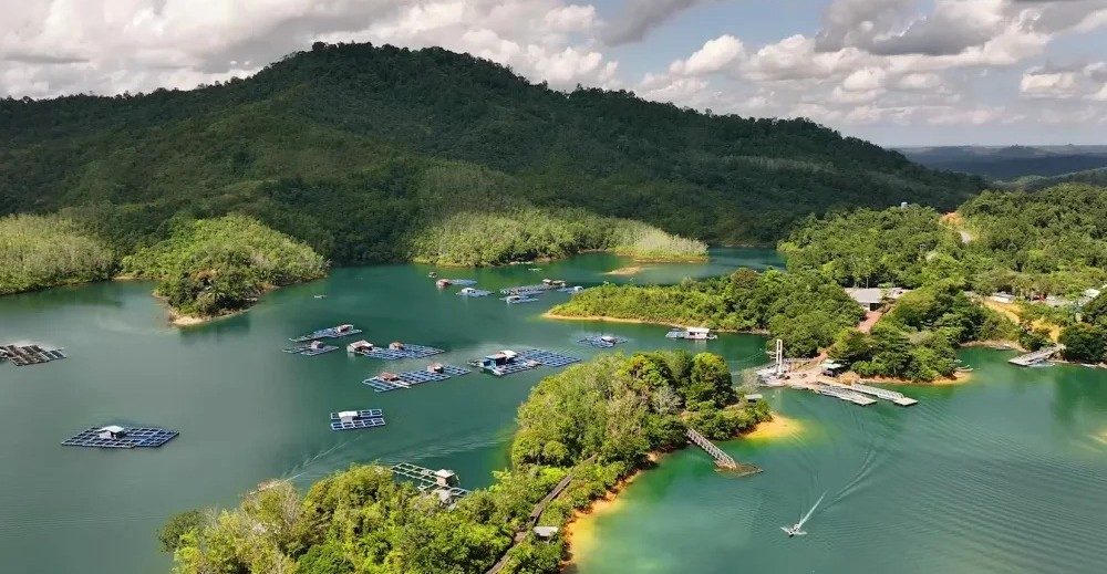 Powering Progress: Sarawak and Southeast Asia Step Up the Clean Energy Transition