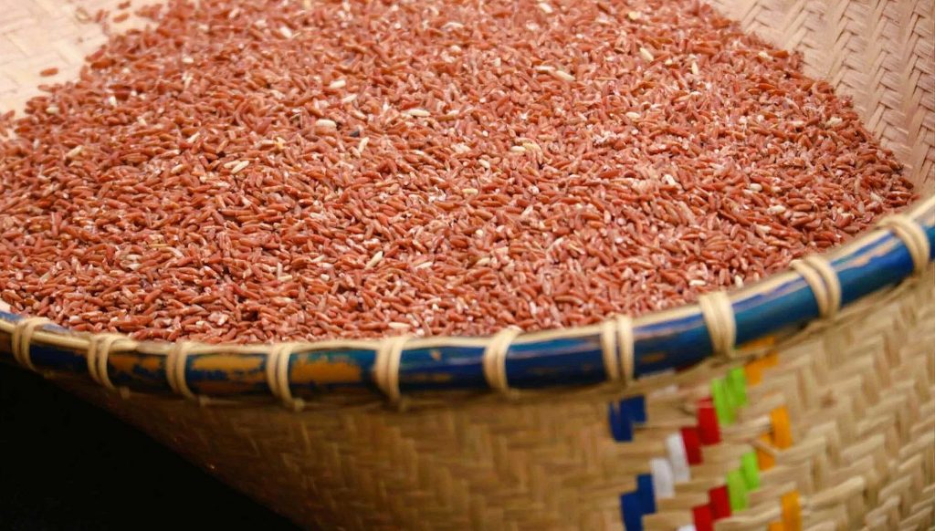 Tamu Rice Sarawak’s Bario Rice: A Highland Grain Shaped by Tradition - ExpatGo