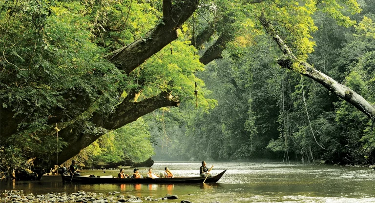 From Highlands to Island Escapes: Why Pahang Remains Malaysia’s Ultimate Nature Playground