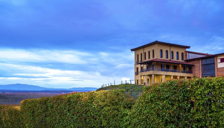Navarra: Spain’s Quiet Wine Region Deserves a Closer Look